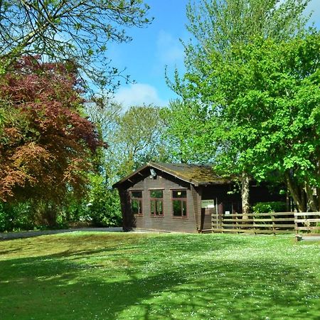 31 Tudor Court, Tolroy Manor Hayle Kültér fotó